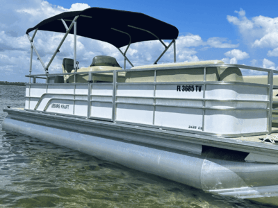 a white and black pontoon on a body of water